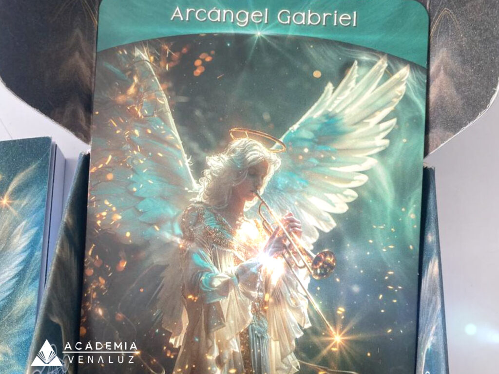 Blog_AcaVLZ_07